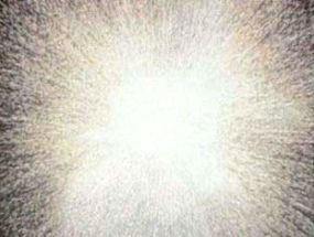 Big Bang Image