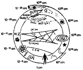 The Cosmic Uroboros